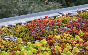 the cost of Upper Clatford green roof installation